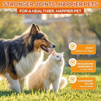 Turmeric Curcumin for Dogs – Hip & Joint Support, Heart & Immune Health Supplement, Immune System Booster, Joint Care for All Breeds & Ages, 60 Chewable Tablets