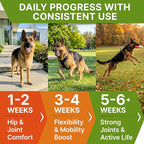 Senior Advanced Glucosamine Chondroitin Joint Supplement for Dogs - Hip & Joint Pain Relief Pills - Large & Small Breed - Hip Joint Chews Canine Joint Health - Chews Older Dogs - Bacon Flavor-120Ct