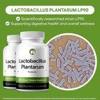 Lactobacillus Plantarum Probiotic Supplement 240 Tablets 3 Billion CFU Probiotics for Men & Women Supports Intestinal Digestive & Gut Health (240, Lactobacillus Plantarum)