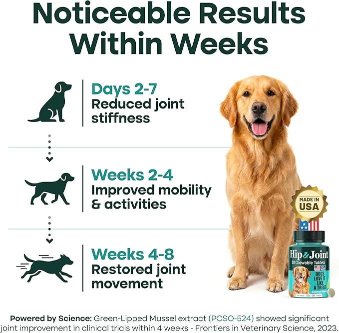 Natureflow Hip & Joint Supplement for Dogs, 300mg Green-Lipped Mussel for Dog Arthritis Pain Relief, Glucosamine, MSM & Chondroitin, Zero Sugar, Large Medium Small Breeds, 50 Chewable Tablets
