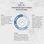 Naturalis UC-II 40 mg with Hyaluronic Acid and Shea Nut Oil | Enhanced Undenatured Type II Collagen for Better Joint Health, Mobility & Flexibility | Gluten-Free & Non-GMO | 60 Softgels