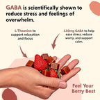PYM Berry Mood Chews Support for Stress, Worry & Overwhelm, 120 Count | 130mg GABA, 90mg L-Theanine | Vegan, Non-GMO, Gluten-Free, No Added Sugar | All-Natural Mood Balance Supplement Made in USA