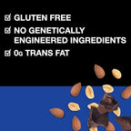 KIND Protein Bars, Dark Chocolate Nut, Healthy Snacks, Gluten Free, 12g Protein, 12 Count (Pack of 2)