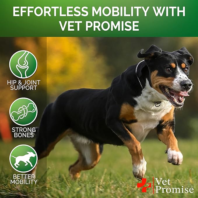 Glucosamine for Dogs - Hip and Joint Supplement for Dogs - Glucosamine Chondroitin - Joint Pain Relief Pills - MSM - Advanced Health Support Supplement - 170 Mobility Chews - Made in USA
