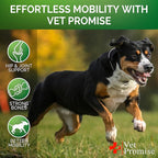 Glucosamine for Dogs - Hip and Joint Supplement for Dogs - Glucosamine Chondroitin - Joint Pain Relief Pills - MSM - Advanced Health Support Supplement - 170 Mobility Chews - Made in USA