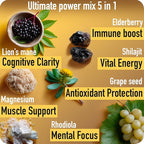 ad hoc 1100mg Gold Shilajit Gummies with Magnesium, Lions Mane, Rhodiola, Grape Seed - Himalayan Shilajit for Men Women, 85+ Trace Minerals & Fulvic Acid, Pure Shilajit for Energy Immune Support,60 Ct