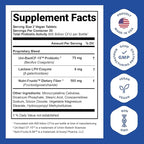 Nutrition Essentials Probiotics for Women and Men with Natural Lactase Enzyme & Prebiotic Fiber for Digestive Health - 80percent + Stronger Supplement for Gut Health Support - 3 Count of 60 Tablets