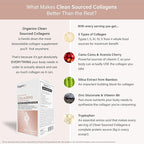 Organixx Clean Sourced Collagens, Protein Powder Supplement with 5 Types of Collagen, Vitamin C, Zinc, and Vitamin B6, Unflavored Collagen Powder, Dairy and Gluten Free, Keto, 15 Travel Packets