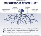 Host Defense MyCommunity Capsules - 17 Species Blend Mushroom Supplement for Immune Support - Herbal Aid with Lion's Mane, Reishi. Chaga, Cordyceps, Turkey Tail & More - 120 Capsules