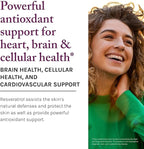 Reserveage Beauty Resveratrol Plus+ 500 mg - Rapid-Release Resveratrol Capsules with Quercetin for Immune System, Brain Health & Cellular Health - Gluten-Free & Vegan - 30 Veggie Capsules