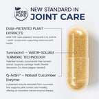 Joint Complex Turmeric Supplement, Turmacin® Turmeric Root Extract 500mg & Q-Actin® Cucumber Enzyme 20mg, Daily Joint Health Support, Suitable for Sensitive Users, Non-GMO, Gluten Free, 30 Capsules