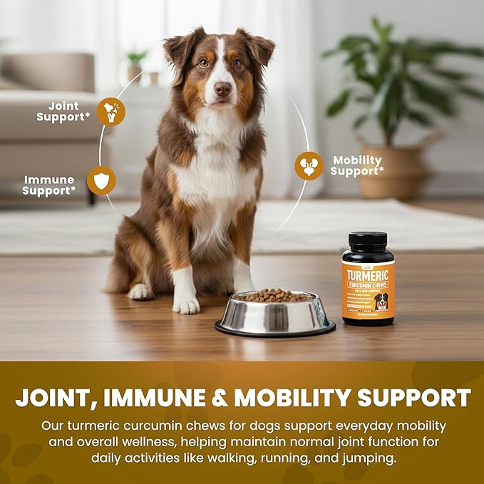 Turmeric for Dogs (155mg) Turmeric Curcumin Supplement for Dogs with BioPerine - Immune System Hip, Mobility & Joint Support - 120 Chicken Flavor Chewable Tablets - Third Party Tested & Non-GMO