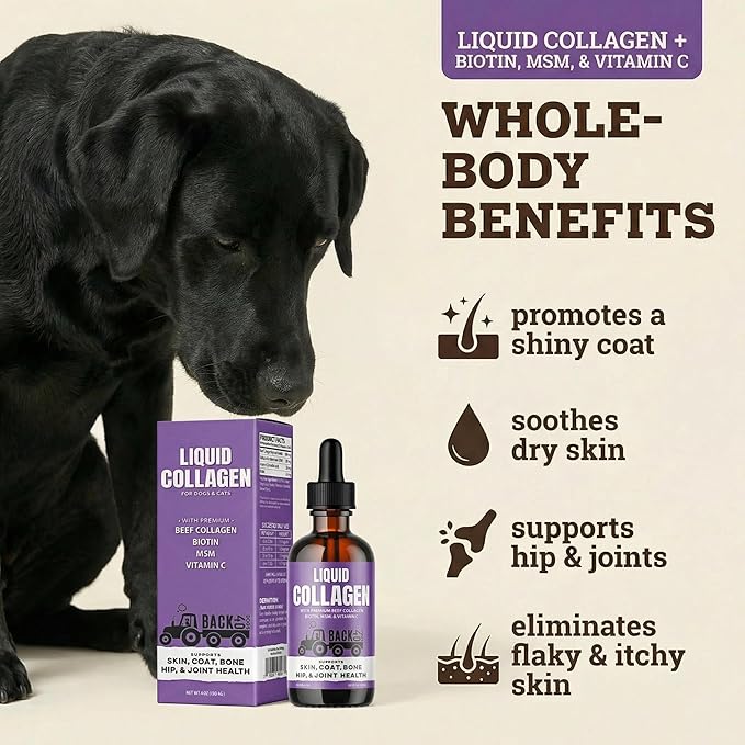 Back 40 Dogs Premium Grass-Fed Liquid Collagen for Dogs Skin and Coat, Hips and Joints | Allergy Relief with Biotin, Vitamin C and MSM for Joint, Nails & Immunity | Made in USA