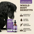 Back 40 Dogs Premium Grass-Fed Liquid Collagen for Dogs Skin and Coat, Hips and Joints | Allergy Relief with Biotin, Vitamin C and MSM for Joint, Nails & Immunity | Made in USA