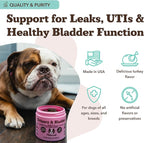 Natural Dog Company Urinary & Bladder Supplement for Dogs – Cranberry & D-Mannose, Marshmallow Root & Astragalus Soft Chews, Supports Urinary Tract Health, Bladder Function & Normal Urine Flow, 90 Ct