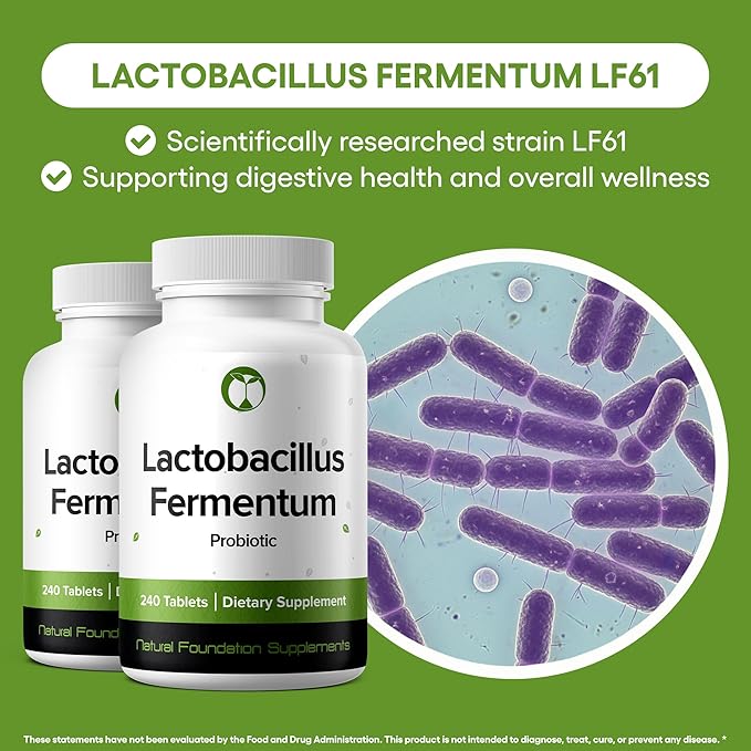 Lactobacillus Fermentum Probiotic Supplement 240 Tablets 3 Billion CFU Probiotics for Men & Women Supports Intestinal Digestive & Gut Health (240, Lactobacillus Fermentum)