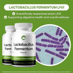 Lactobacillus Fermentum Probiotic Supplement 240 Tablets 3 Billion CFU Probiotics for Men & Women Supports Intestinal Digestive & Gut Health (240, Lactobacillus Fermentum)