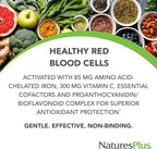 NaturesPlus Hema-Plex Iron - 10 Slow-Release Tablets - 85 mg Chelated Iron - Total Blood Health - with Vitamin C & Bioflavonoids - Vegan, Gluten Free - 10 Servings