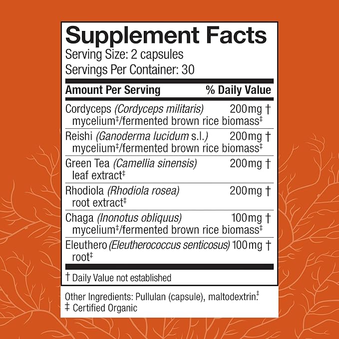 Host Defense MycoBotanicals Energy* Capsules - Energy & Respiratory Support Supplement - Herbal Green Tea Capsules - Respiratory Supplement with Cordyceps, Reishi & Chaga - 60 Capsules (30 Servings)*