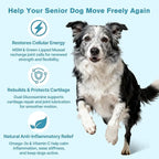 Hip & Joint Senior Dog Supplement–Advanced Glucosamine Chondroitin for Dogs with MSM, Green Lipped Mussel,and Omega-3 – Supports Mobility and Reduces Joint Pain for Senior Dogs(120ct Chewable Tablets)