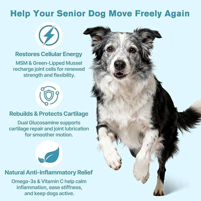 Hip & Joint Senior Dog Supplement–Advanced Glucosamine Chondroitin for Dogs with MSM, Green Lipped Mussel,and Omega-3 – Supports Mobility and Reduces Joint Pain for Senior Dogs(120ct Chewable Tablets)