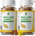 (2 Pack) 9 in 1 Mullein Gummies for Lung Cleanse & Lymphatic Drainage*, Extra Strength Mullein Leaf Extract w/Quercetin, Bromelain, Elderberry & Marshmallow for Respiratory & Immunity,Vegan,120 Count
