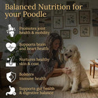 Multivitamins, Balanced Nutrition for Your Poodle, 90 Count, Made in The USA with Real Bacon