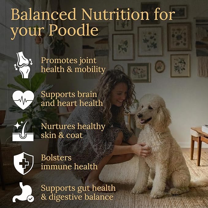 Multivitamins, Balanced Nutrition for Your Poodle, 90 Count, Made in The USA with Real Bacon