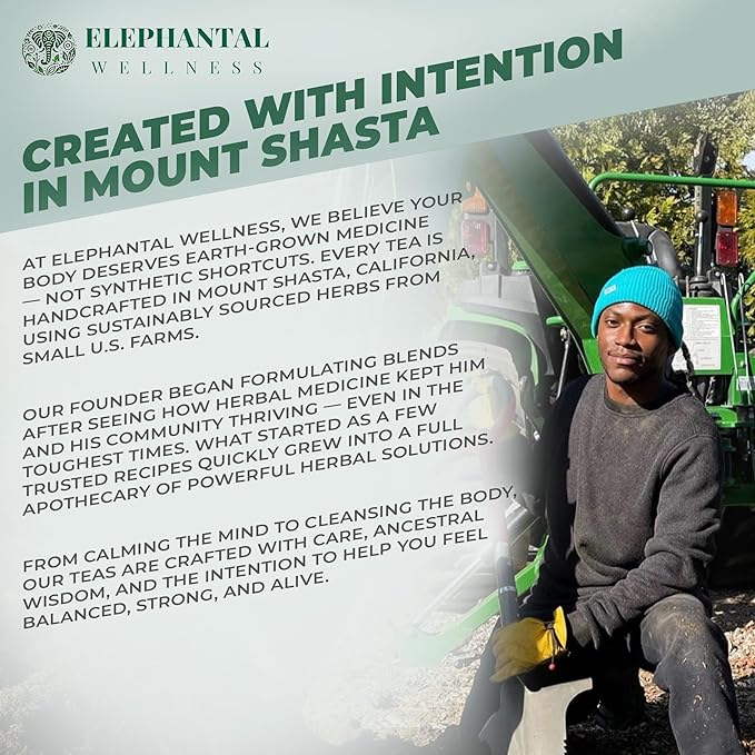 Elephantal Wellness Menopause Support Premium Herbal Tea for Women – Chaste Berry (Vitex), Black Cohosh, Red Clover & Valerian – Promotes Balance, Calm & Daily Comfort – Caffeine-Free Loose Leaf Tea, 2oz (20 Servings)