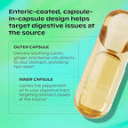 wholier Peppermint Oil, Ginger Root Oil for Bloating Relief, Nausea Relief, Upset Stomach Relief + Gut Health. Daily Herbal Supplement. Peppermint Stomach Soother. (60 Vegan Capsules) Glass Bottle