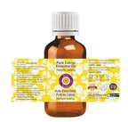 Deve Herbes Pure Catnip Essential Oil (Nepeta cataria) Steam Distilled 15ml (0.50 oz)