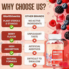 Cholesterol Supplement with Plant Sterols & Stanols, Guggul, Bergamot Orange Extract, Red Yeast Rice, Cholesterol Complex Gummies, Mixed Berry Flavor, 120 Counts