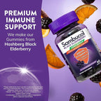 Sambucol Black Elderberry Zero Sugar Triple Immunity Gummies - Daily Vitamin C & Vitamin D, Sugar Free Black Elderberry Gummies for Adults and Kids, Chewable Berry Supplement - 60 Count