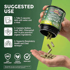 Clean Nutra Mullein Leaf Extract for Lungs Cleanse NAC Supplement Chlorophyll Chlorella Elderberry | Lung Detox for Smokers | Ginger Licorice Astragalus Oregano Turmeric Respiratory Support Capsules