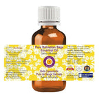 Deve Herbes Pure Dalmatian Sage Essential Oil (Salvia officinals) Steam Distilled 50ml (1.69 oz)