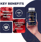 Vitamatic Shilajit with KSM-66® Ashwagandha & Ginseng Extract Gummies – Natural Raspberry Flavor – 60 Vegan Gummies - Made in USA