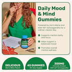 Fungies Lion's Mane KSM-66 Ashwagandha Gummies, Berry Flavor - Mushroom Supplement Adaptogen Gummy Supports Brain Health, Cognitive Function, Focus, Memory & Mood - Mind-Body Wellness, 45 Servings