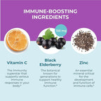 Hyland's Organic Elderberry Plus Gummies, Organic Black Elderberry with ZINC and Vitamin C, Immune Support Supplement for Adults, 60 Vegan Gummies (30 Days) (Pack of 2)