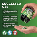 Clean Nutra Chlorophyll Capsules + Peppermint Slippery Elm Spirulina Chlorella Fenugreek Ashwagandha Sea Moss Supplement – Ph Balance for Women Detox Internal Deodorant Supplement + Prebiotics 60 Ct