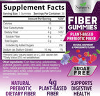 Fiber Gummies 4g Per Serving - Sugar Free Fiber Gummy Supplement for Adults, Daily Prebiotic Gummy Digestive Support - Plant Based Chews, Prebiotics Supports Regularity & Digestion - 60 Gummies