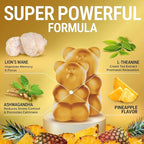 High Strength Extract Organic Lion's Mane Mushroom Gummies with Ashwagandha & L-Theanine - Potent Lion's Mane Brain Supplements for Memory & Relaxation - Mushroom Gummies for Focus