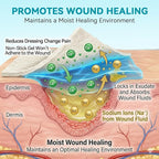 Dimora Calcium Alginate Wound Dressing, 4'' x 4'' Patches, 20 Individual Sterile Bandages, Soft and Highly Absorbent Dressing Gauze, Non-Stick Padding