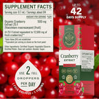 HERBAMAMA Cranberry Supplement Drops - Vegan Urinary Tract Support for Men and Women with Cranberry Extract - Non-GMO, Alcohol & Sugar-Free Kidney Support Supplement, 42-Day Supply