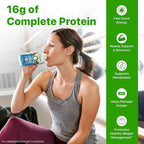 Orgain Organic Nutritional Vegan Protein Shake, Smooth Chocolate - 16g Plant Based Protein, Meal Replacement, 22 Vitamins & Minerals, Fruits & Vegetables, Gluten Free, Non-GMO, 11 Fl Oz (Pack of 12)