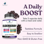 American Standard Supplements Elderberry Extract with Quercetin, Vitamin C, D3, Ginger, Zinc, Turmeric, Astragalus and Echinacea – 60 Capsules, 30 Servings