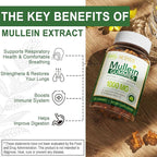 NEVISS Mullein Gummies for Lungs, Organic Mullein Leaf Extract 1000mg for Respiratory System with Quercetin & Bromelain, D3 for Digestive Support, Immune Booster, Sugar Free, Vegan, 60 Count