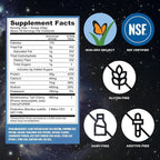Vega Sport Vegan Protein Powder + Recovery - 30g Plant Based Protein per Serving, Berry, 19 Servings, 5g BCAAs, Probiotics, NSF Certified, for Shakes & Smoothies, 1.8lbs (Packaging May Vary)