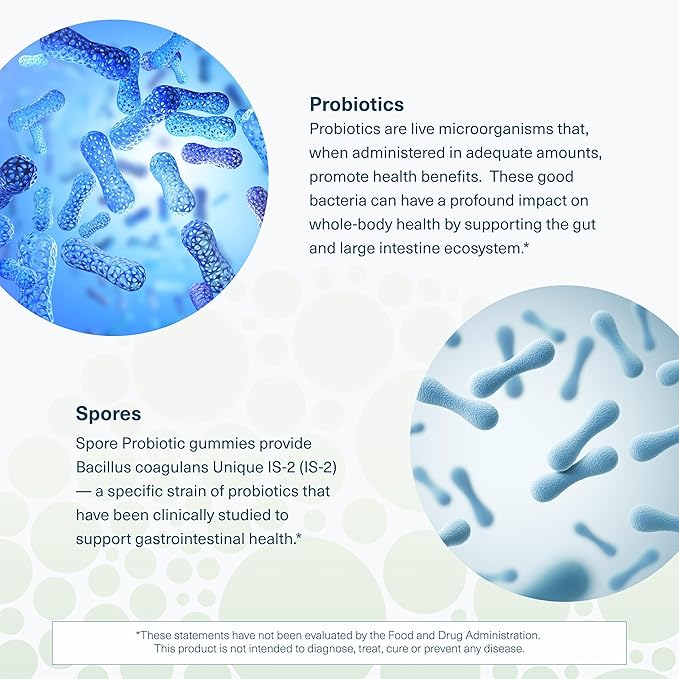 Youtheory Spore Probiotic Gummies - Supplement for Gut Health Support* - with Bacillus coagulans (is-2) - Supports Diarrhea Relief & Regular Bowel Movement* - Sugar Free - 60 Gummies (30-Day Supply)
