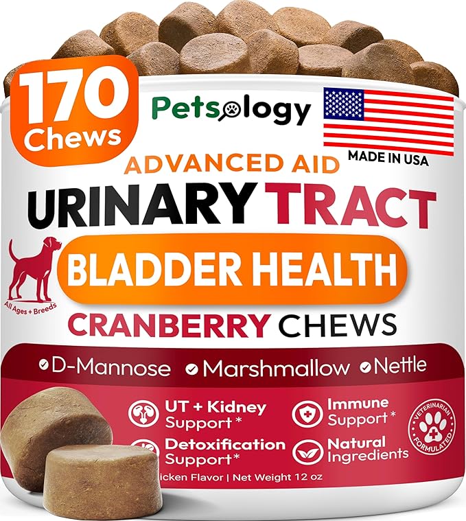 Dog UTI Treatment - 170 Cranberry Chews for Dogs - Urinary Tract Infection, Bladder & Kidney Health Multivitamin - Cranberry Supplement for Dogs with D-Mannose - Dog Vitamins and Supplements