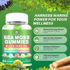Sea Moss Gummies – Irish Sea Moss with Black Seed Oil, Bladderwrack, Burdock Root for Immune & Detox Support, Vegan Green Apple Flavor Gummies for Adults, Kids, Men, Women - 60 Gummies